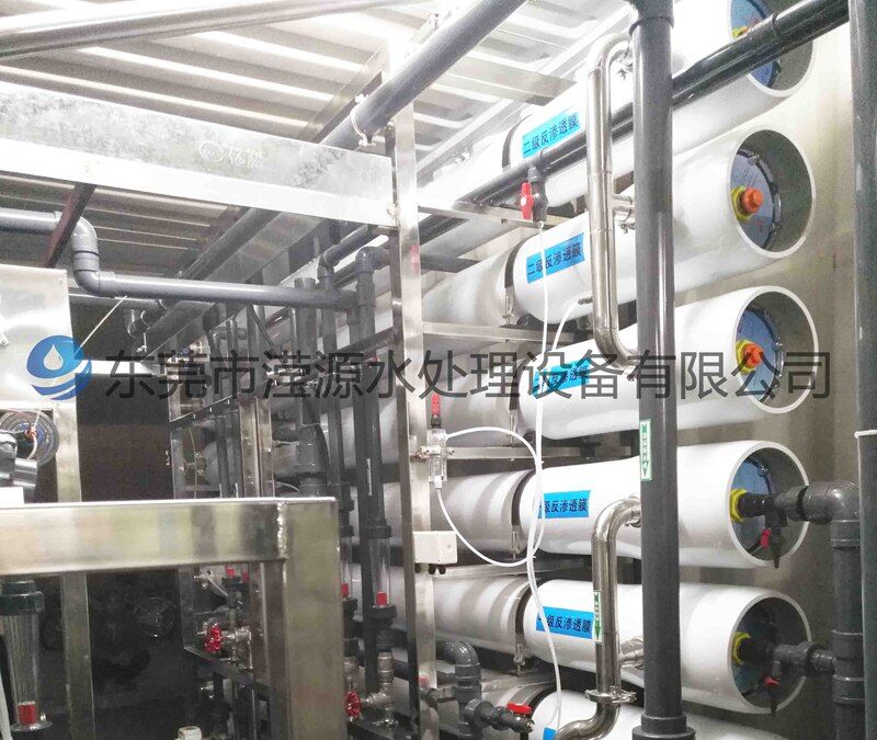 蘭考十噸每小時，二級RO+EDI超純水設(shè)備